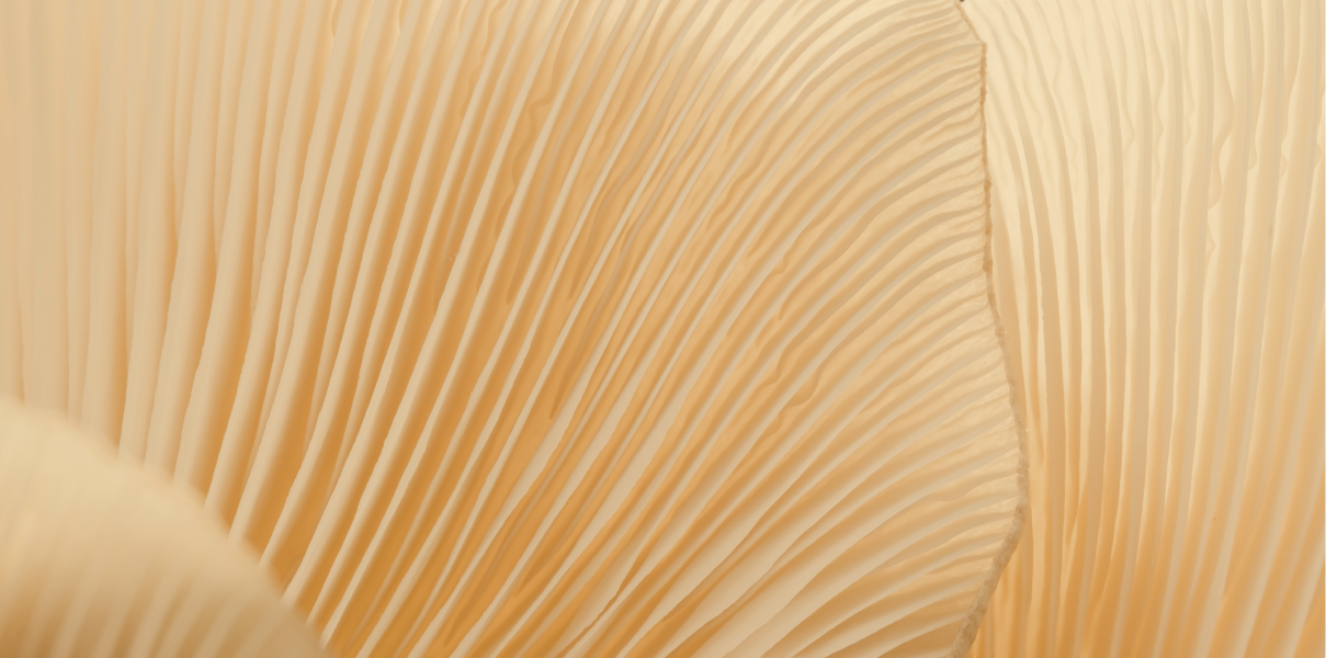  product background