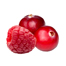
          Cran Raz
         image