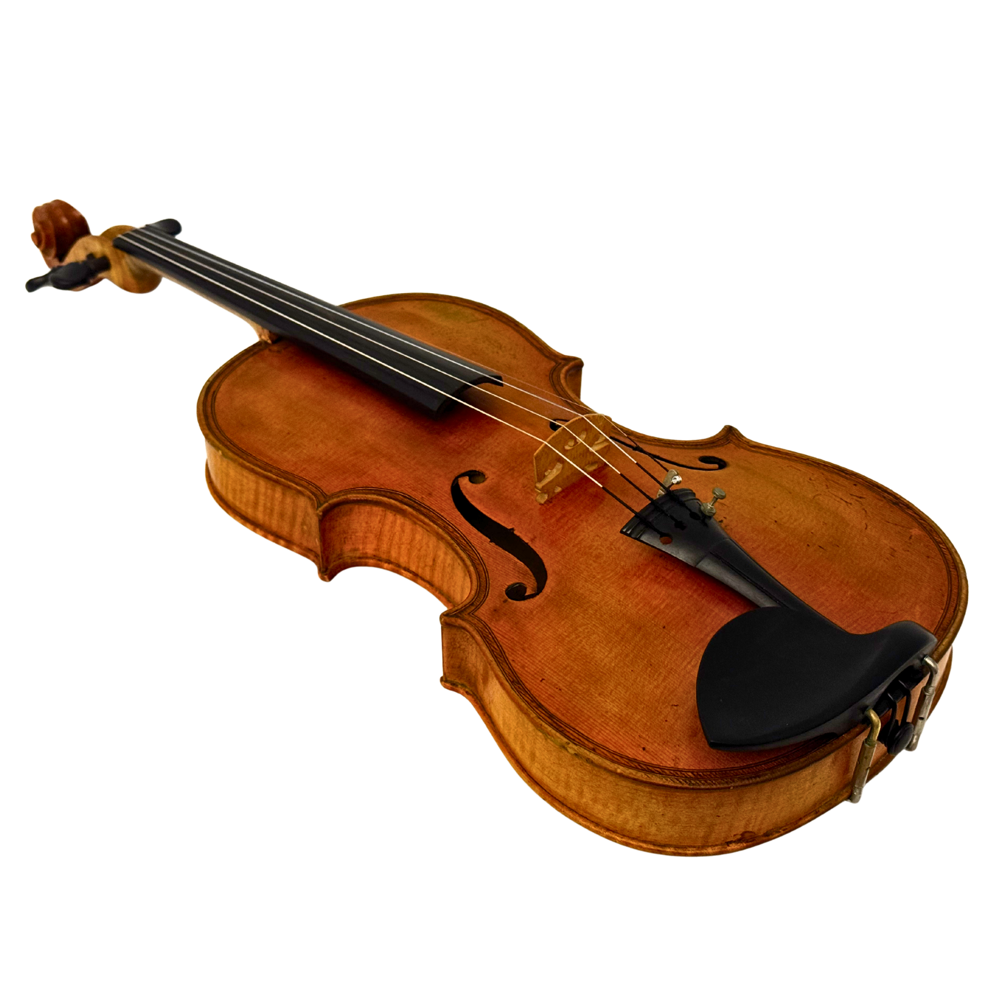 James Dardie and Sons Violin 1898 in action