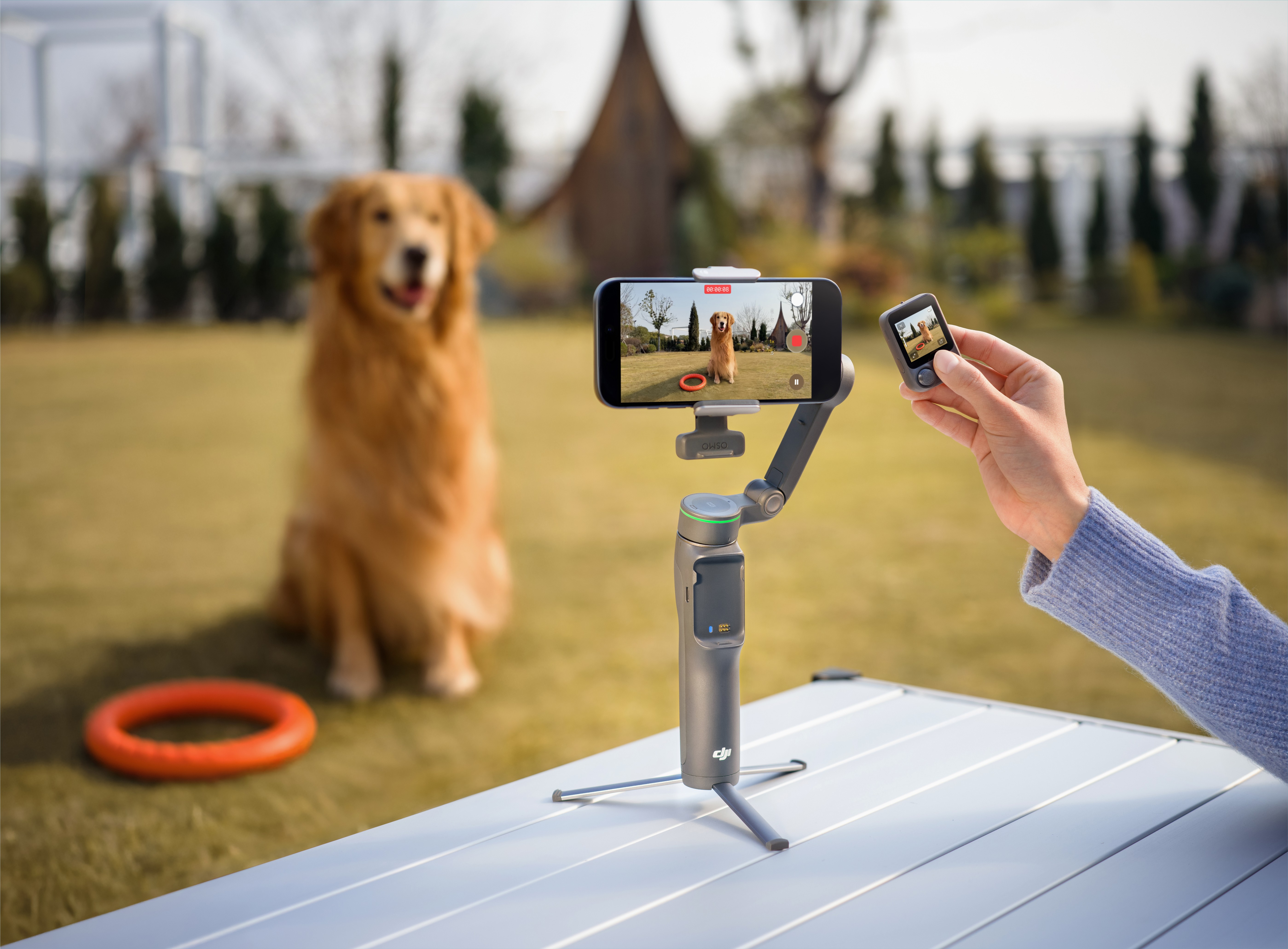 Control Every Frame With Total Precision