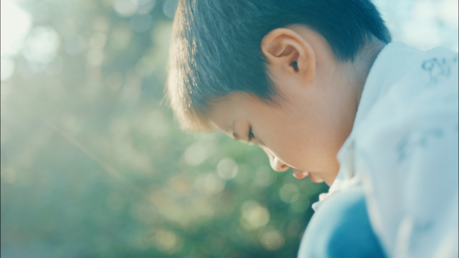 陥没 シアターコクーン・オンレパートリー2017+キューブ20th 生写真３枚付 スチル-2024-11-05-010237_2.5.1