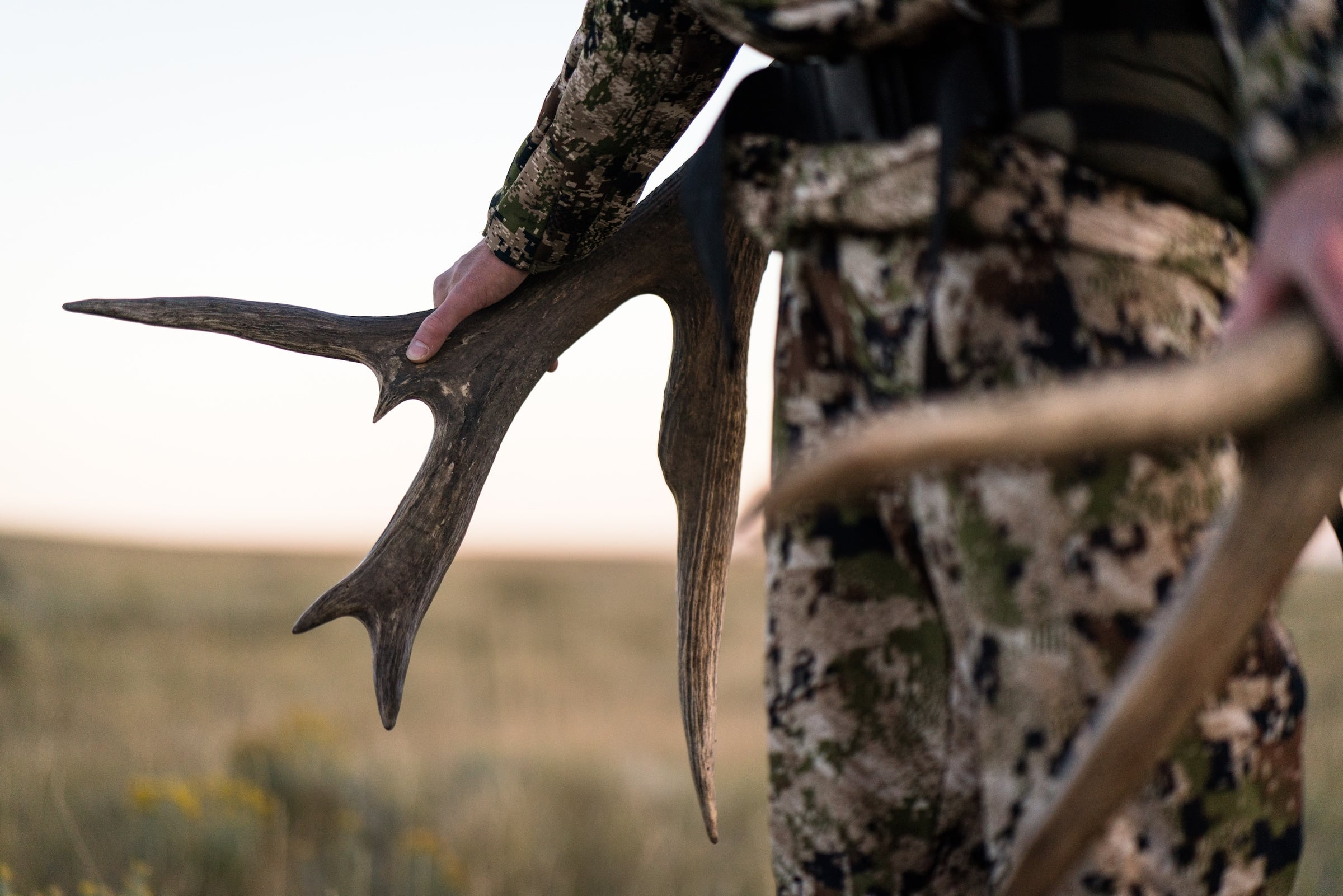Mathews Banner – Mathews Archery