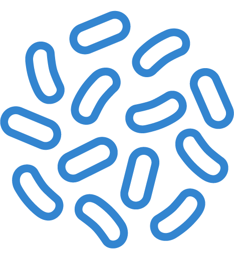 Prebiotics & probiotic