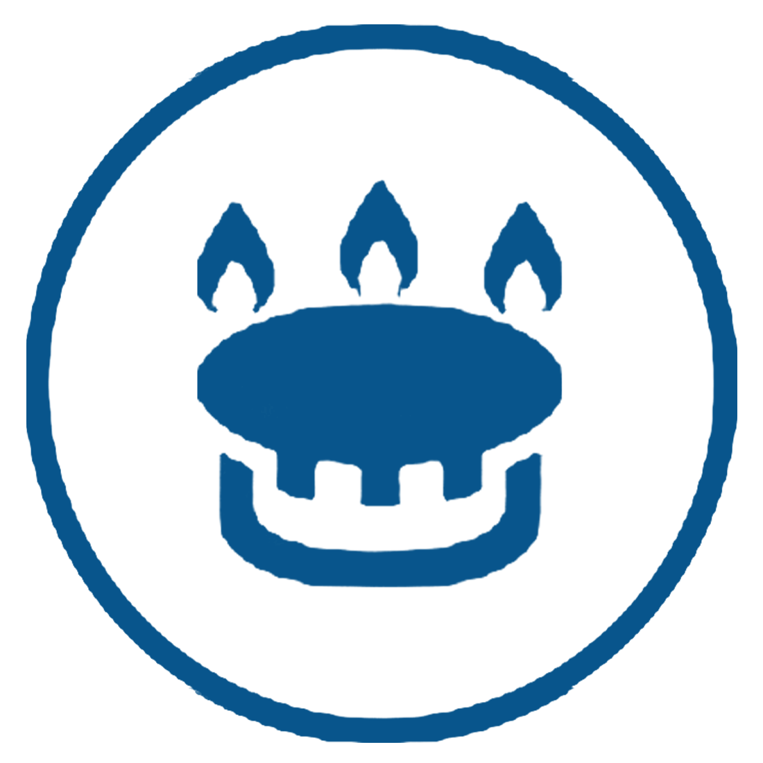 Flameflex Burner System