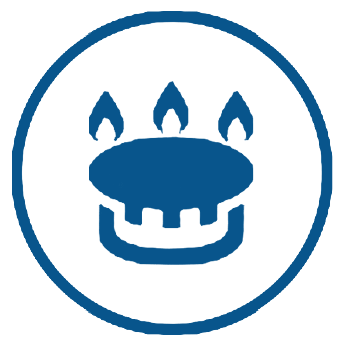 Flameflex Burner System