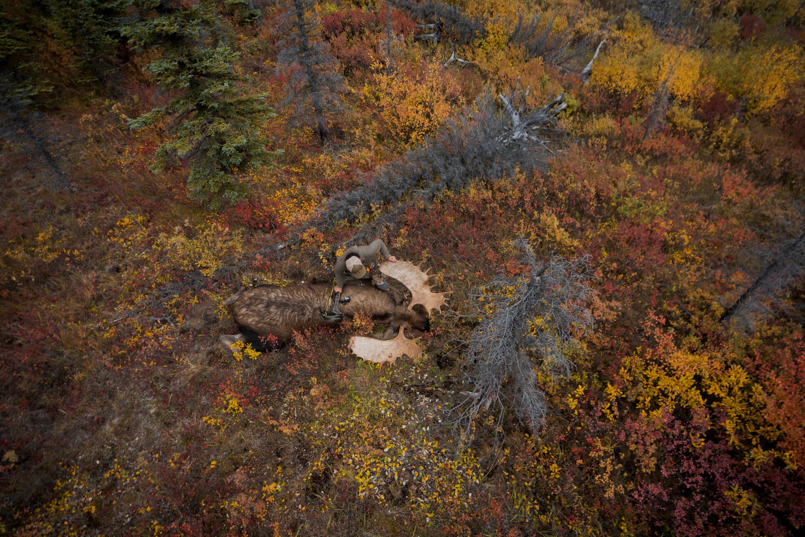 Switchweight® Mods Mathews Archery