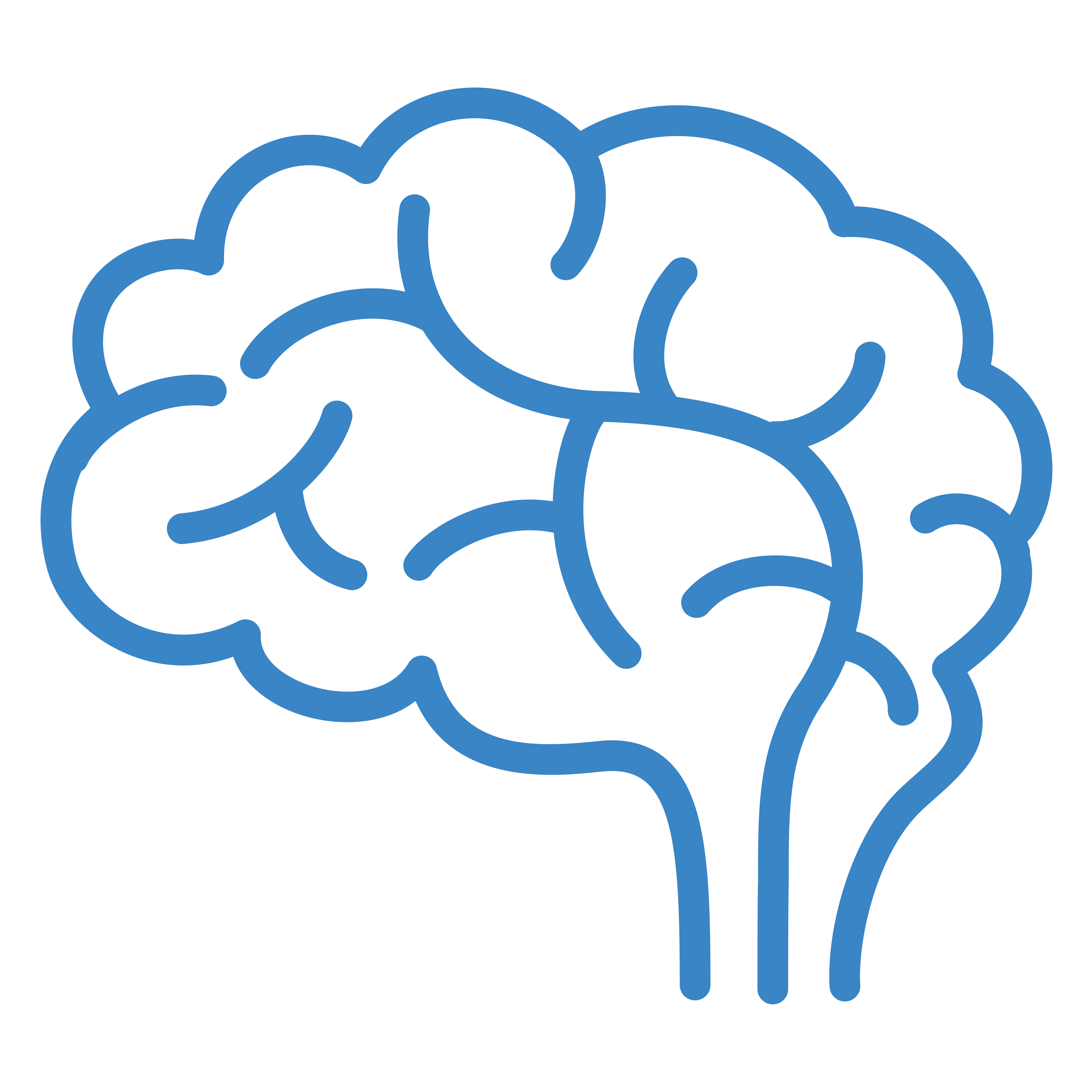 Cognitive Function
