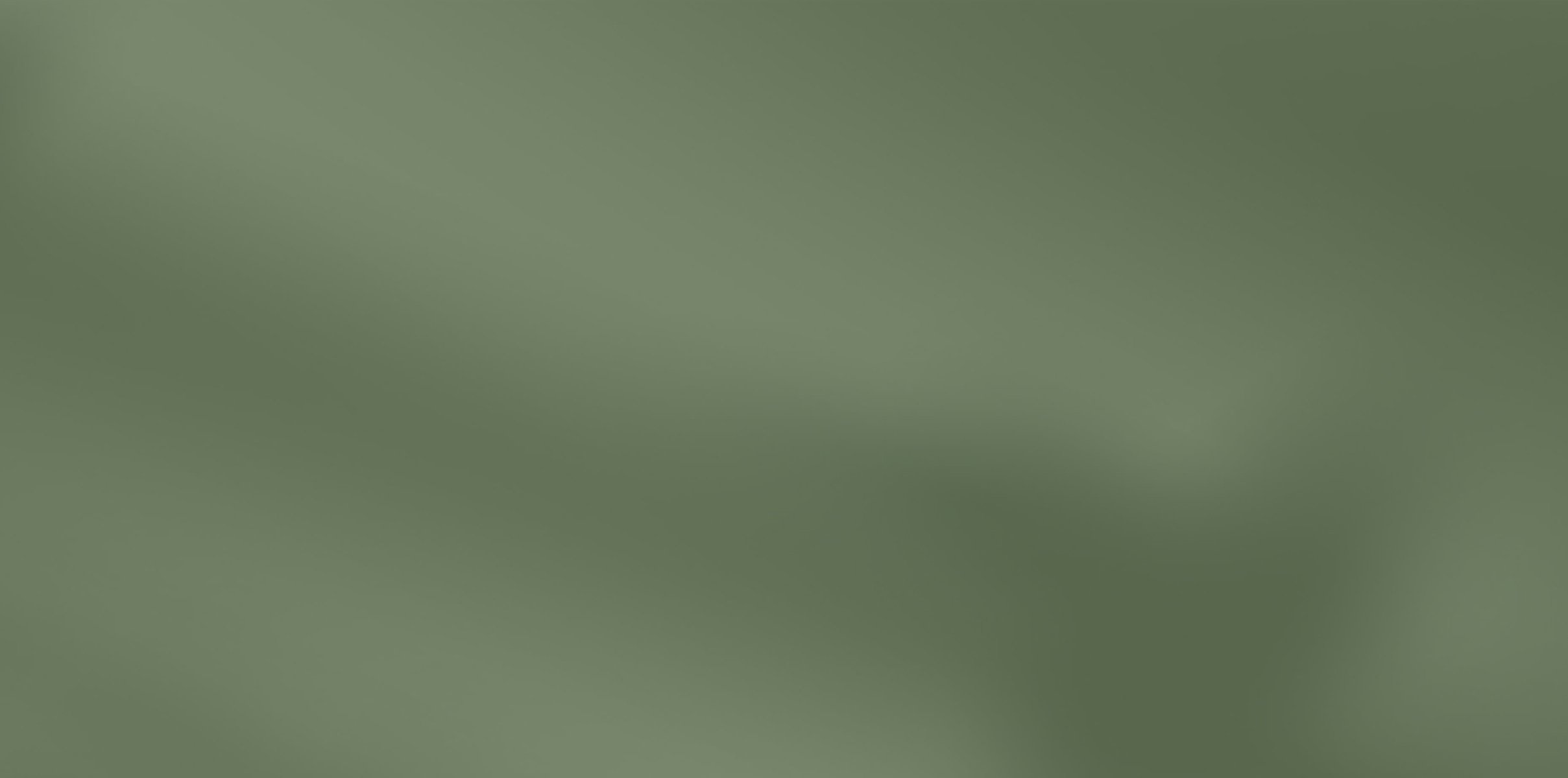 Sagastume Typica product background