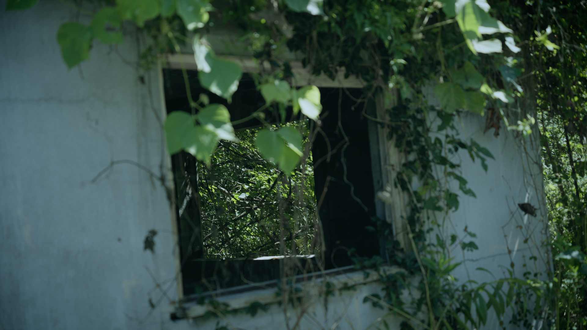 プリセットのサンプル画像