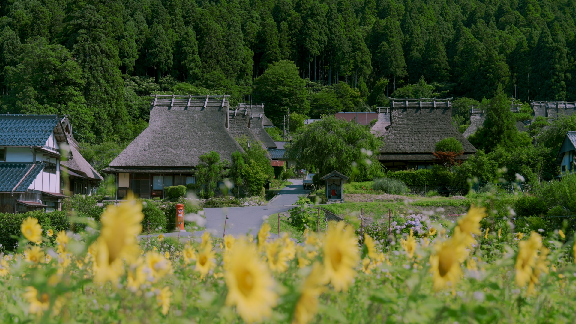 プリセットのサンプル画像