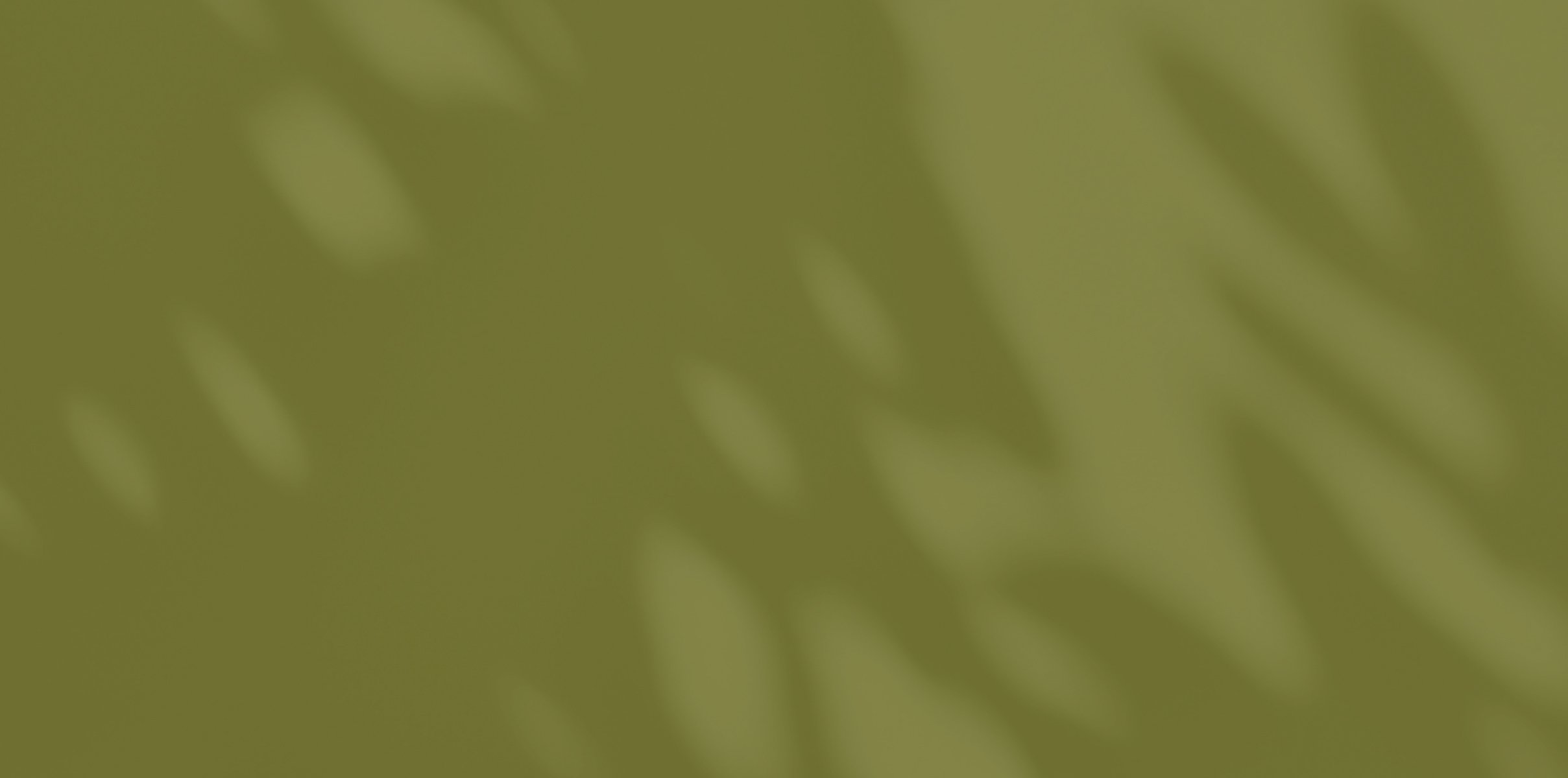 Daisy Acevedo product background