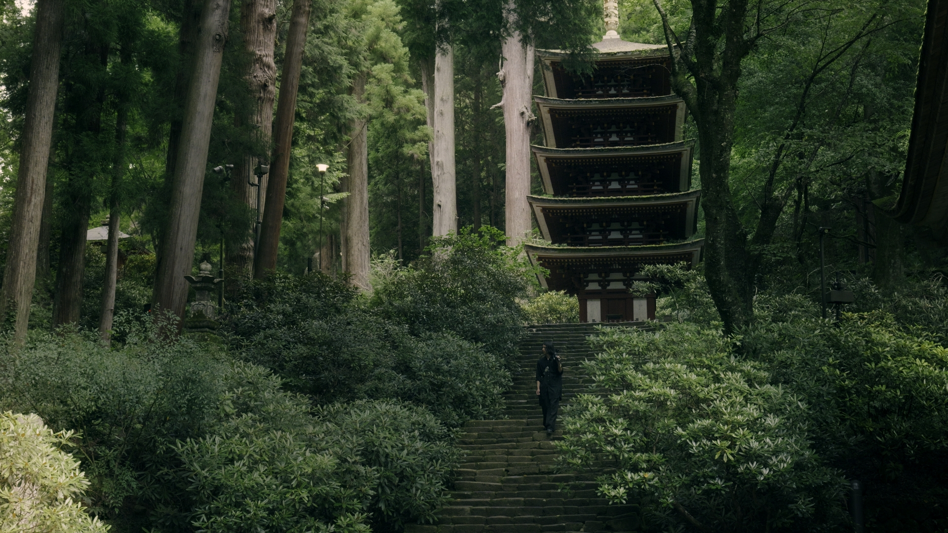 プリセットのサンプル画像