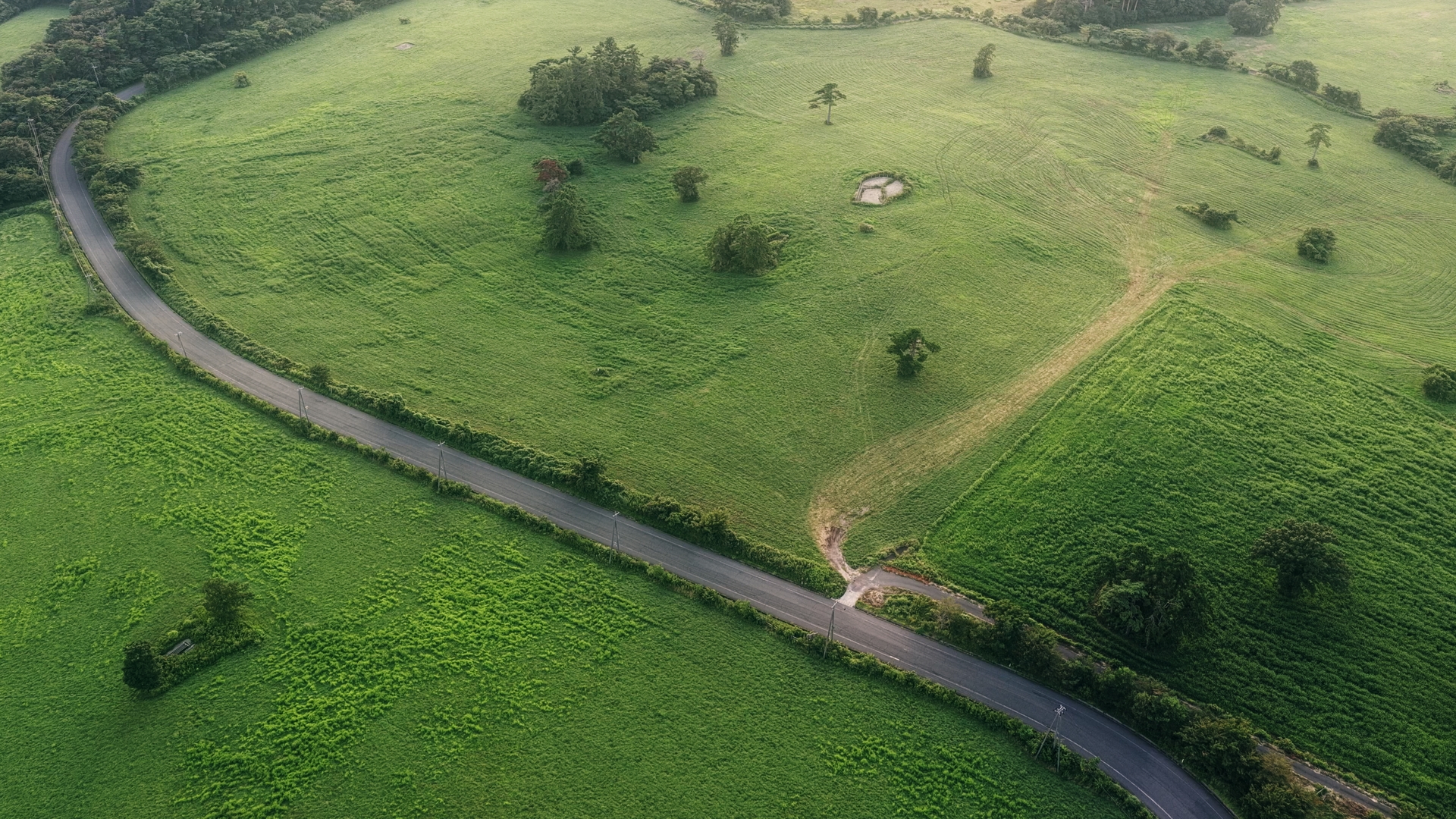 プリセットのサンプル画像