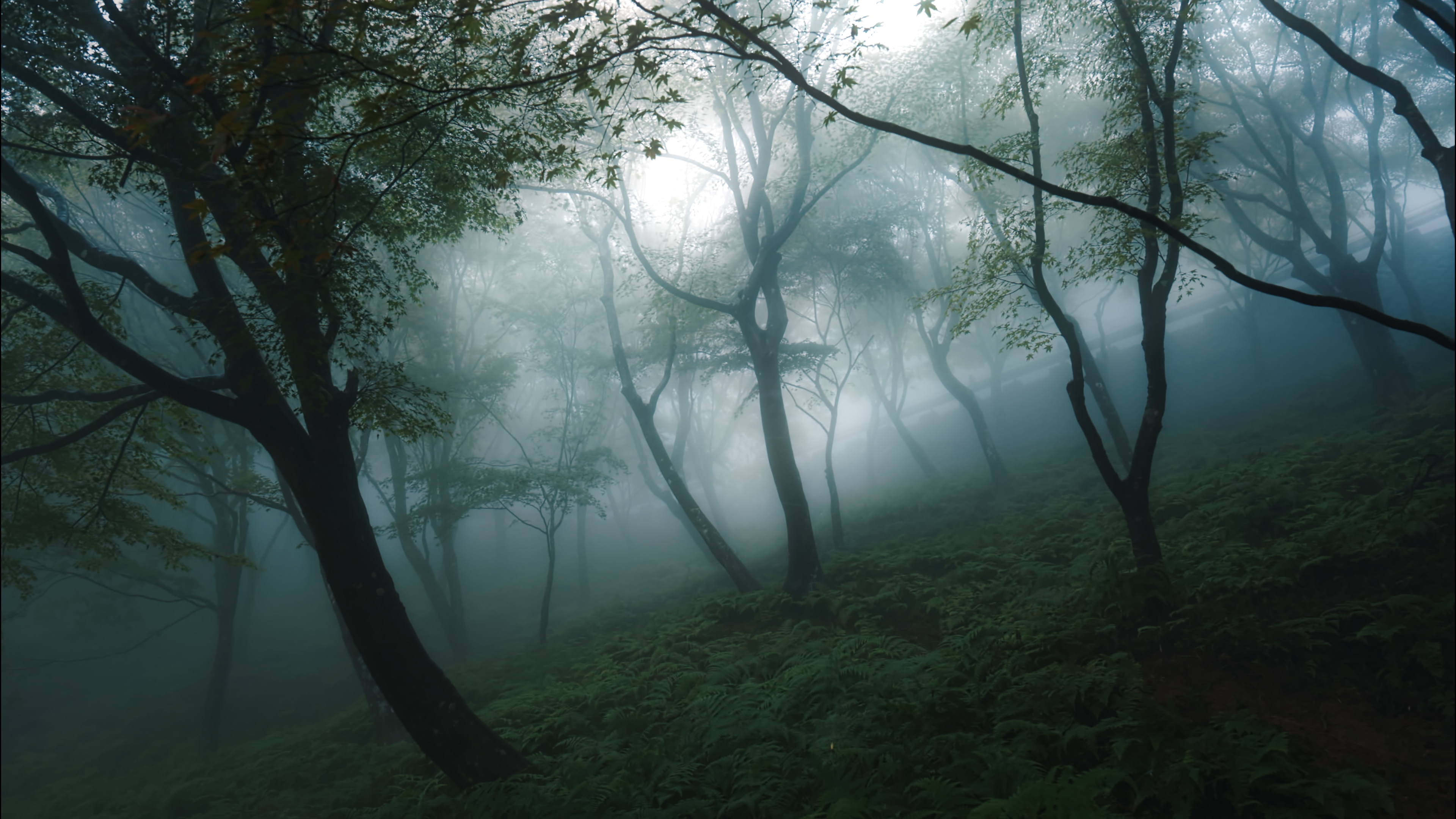 プリセットのサンプル画像