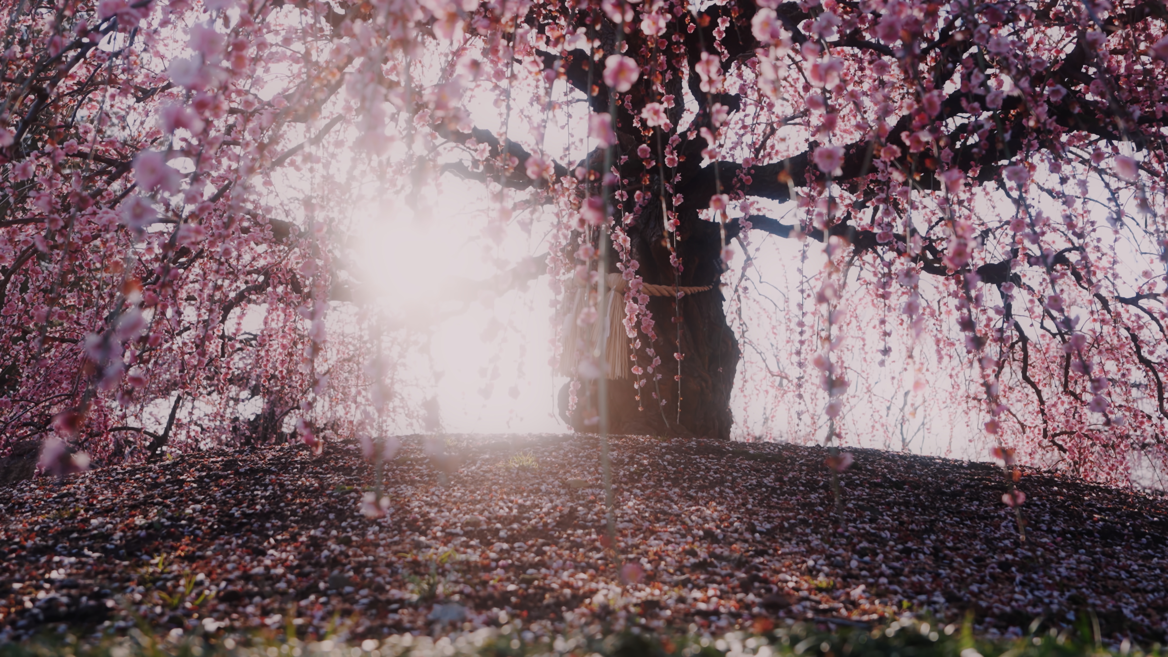 プリセットのサンプル画像