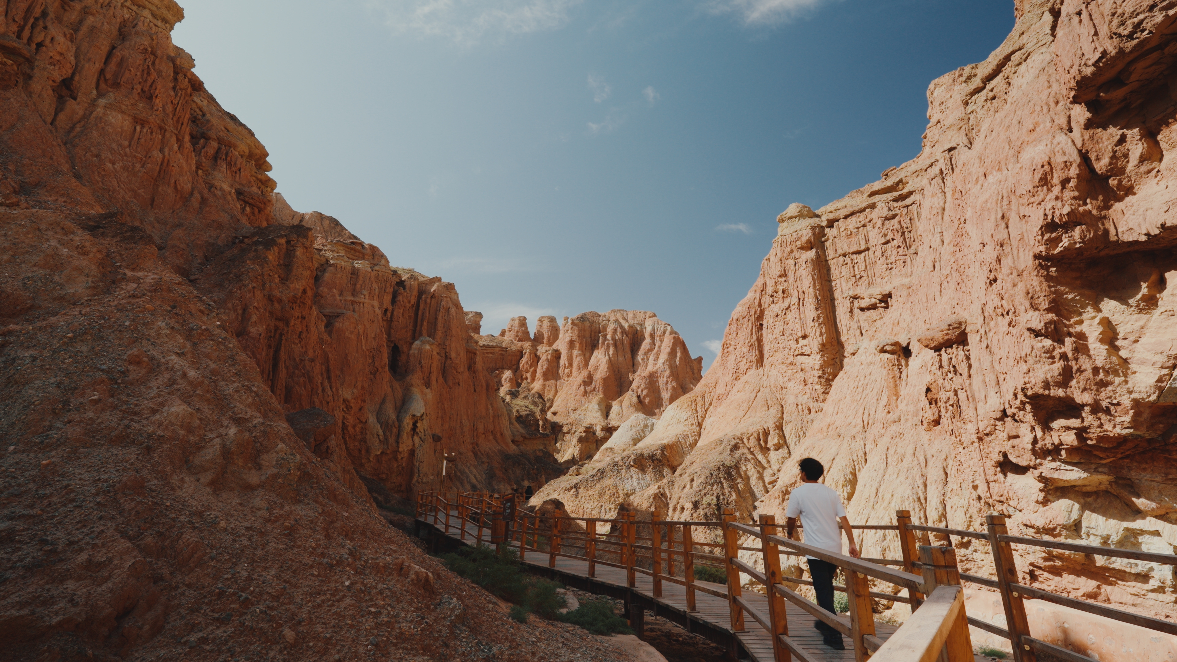 プリセットのサンプル画像