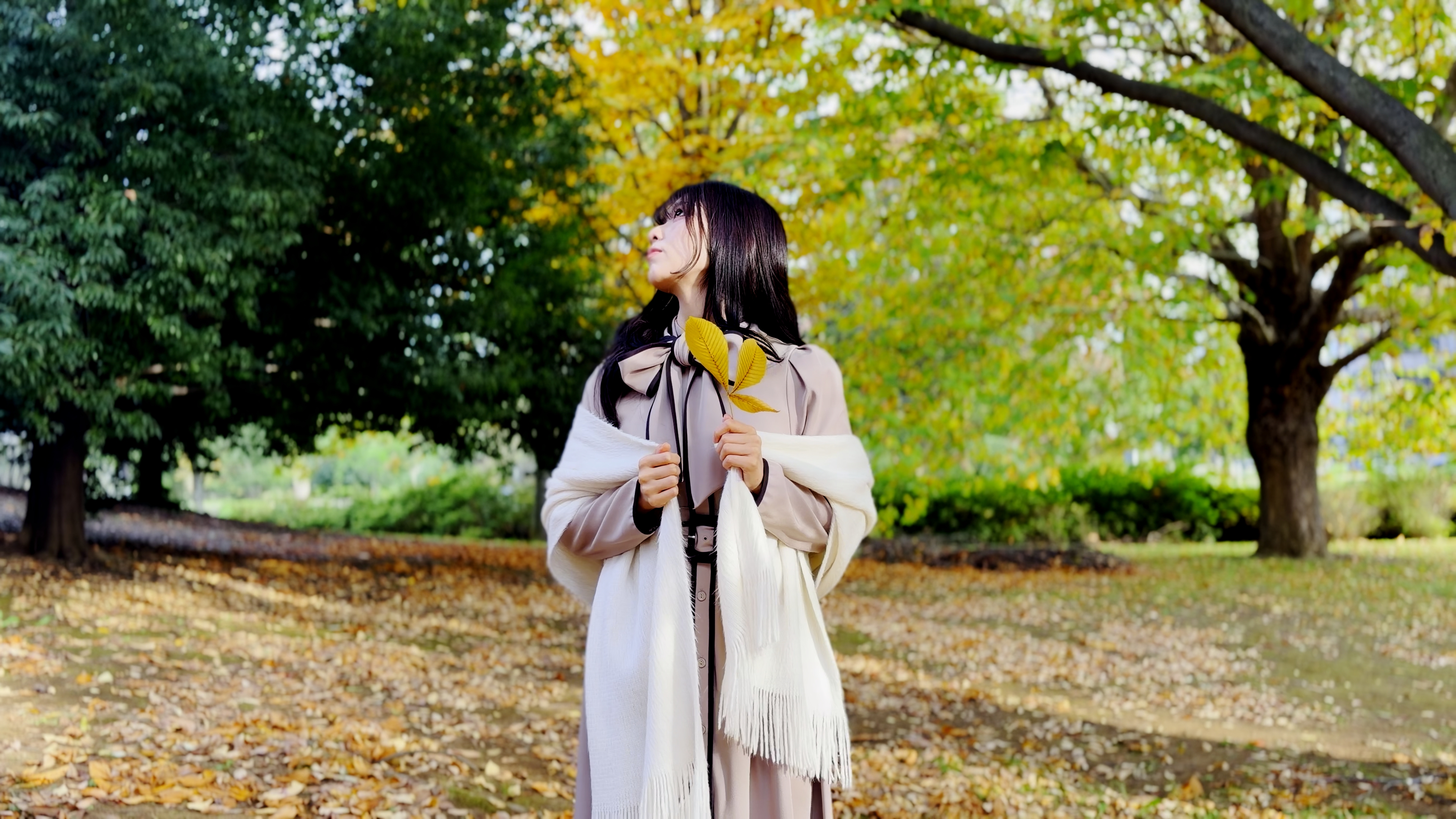 プリセットのサンプル画像