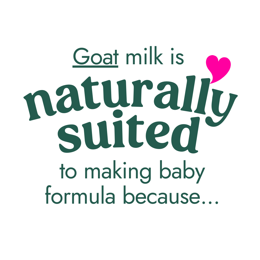 Image of Nannycare goat milk baby formula, made with higher levels of natural ingredients including fresh whole goat milk. Goat milk is naturally suited to making baby formula.