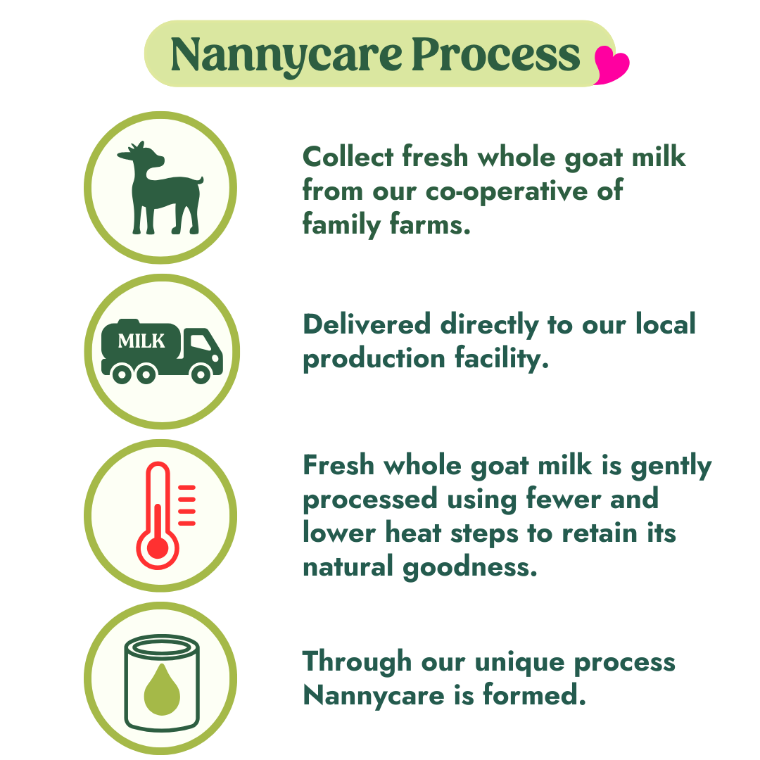 Image of Nannycare goat milk baby formula, made with higher levels of natural ingredients including fresh whole goat milk. The Nannycare process - from farm to formula.
