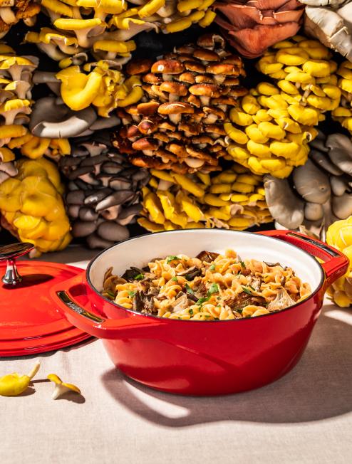 Mushroom Farmer Stroganoff USA Enamel