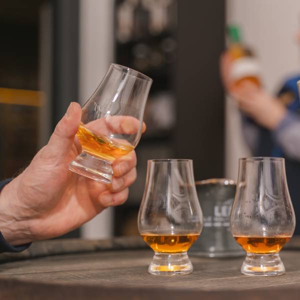 A whisky tasting set up on a cask and someone picking up one of the glasses.