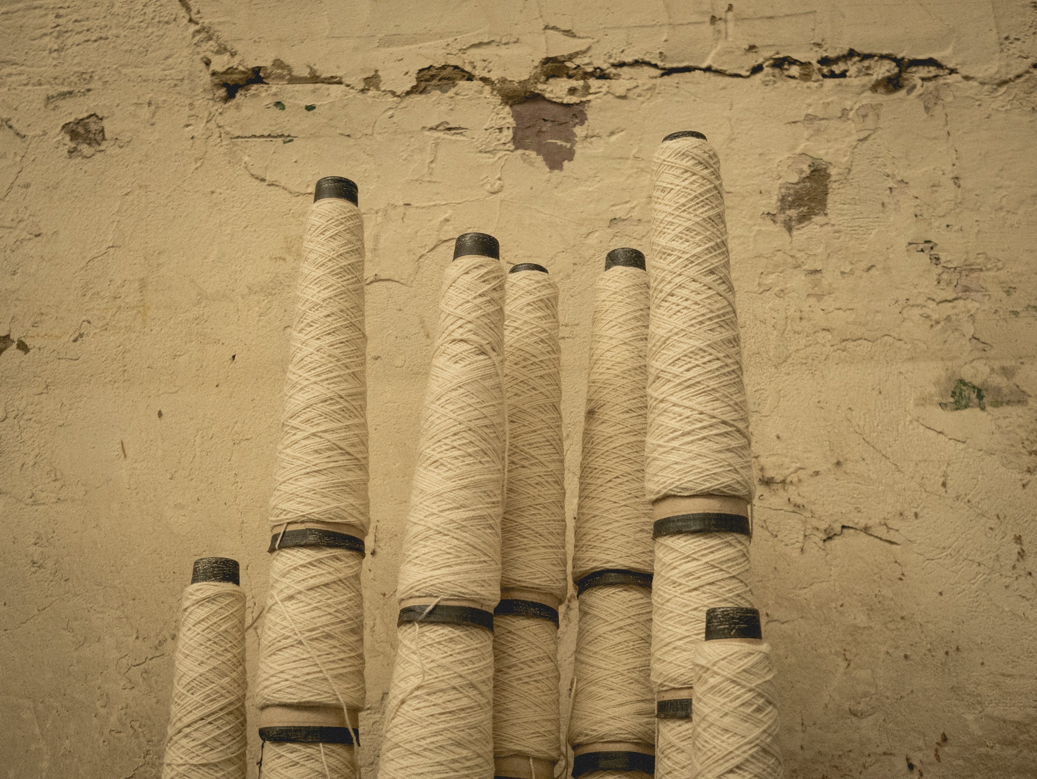 Image of cotton rolls
