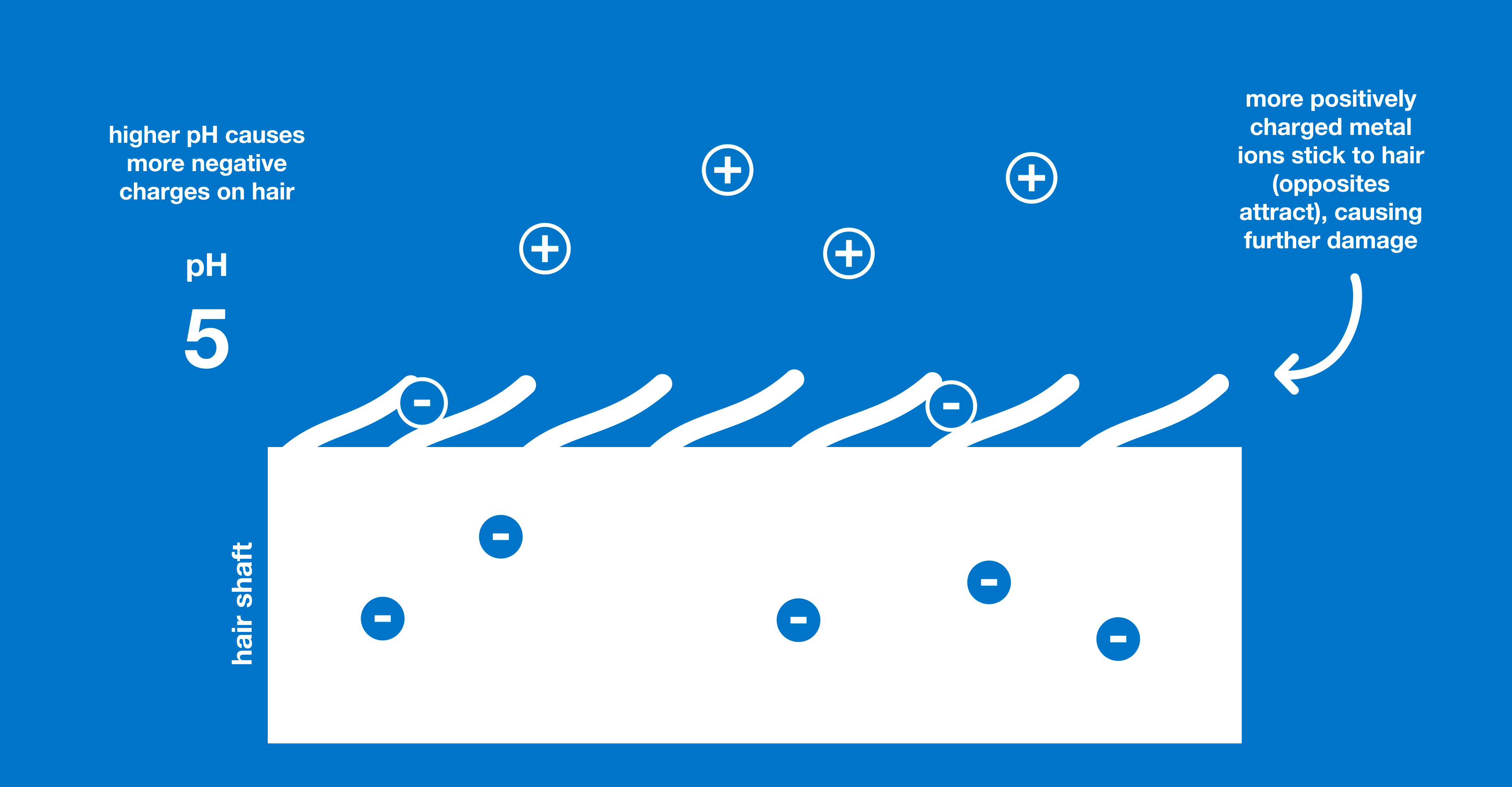 Science Class 11: Hard water
