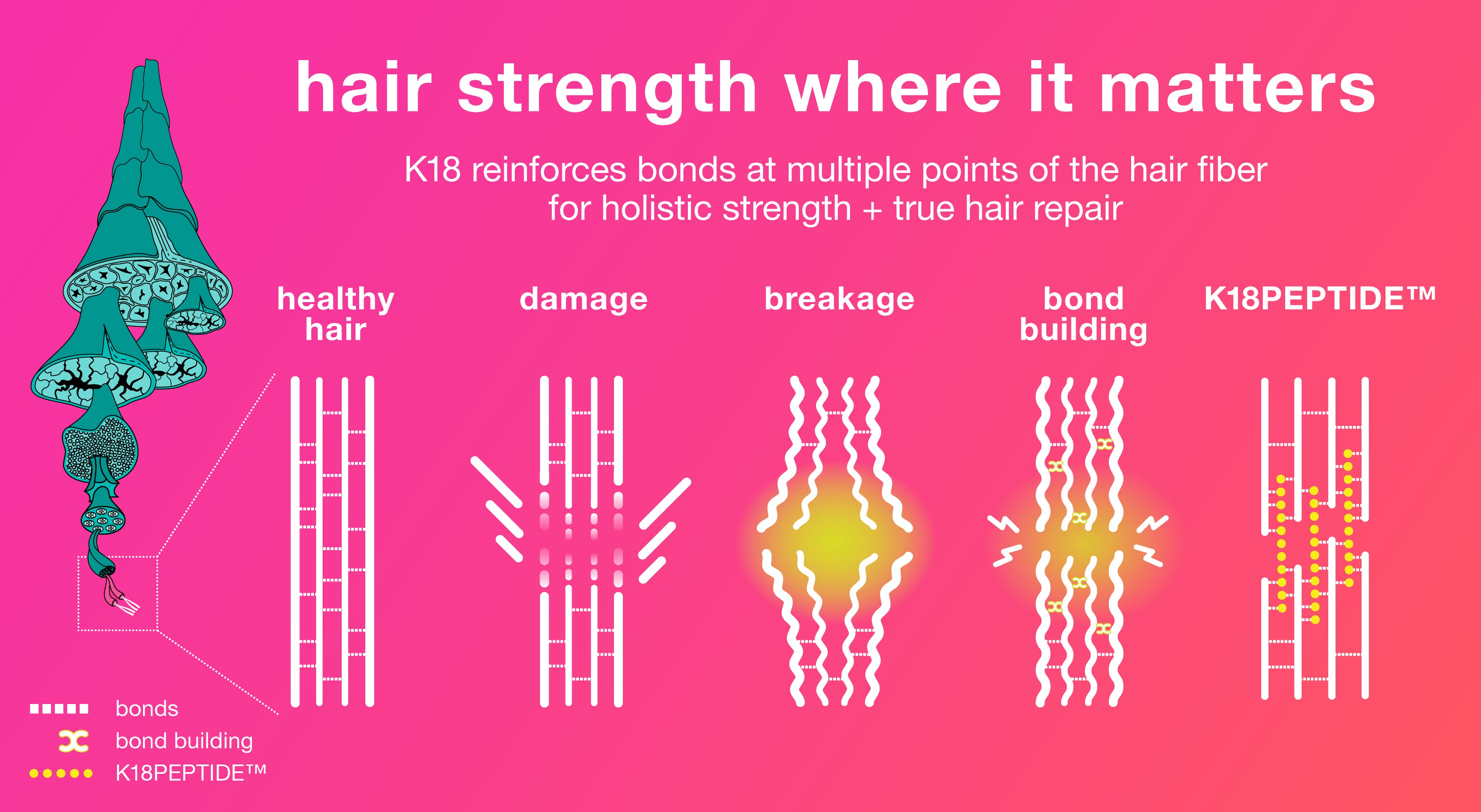 forget everything you know about haircare