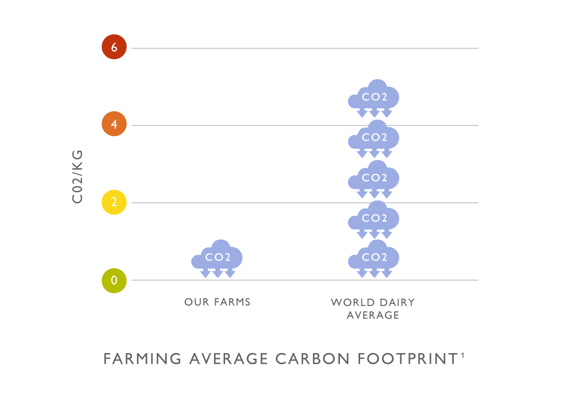 Carbon footprint of Nannycare vs world farming average